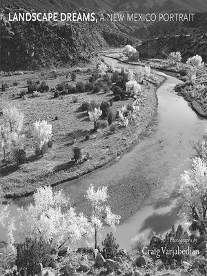 cover image of Landscape Dreams, a New Mexico Portrait